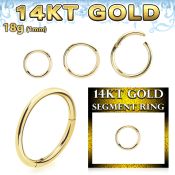 gsegh18 14 karat yellow gold hinged segment hoop 18g