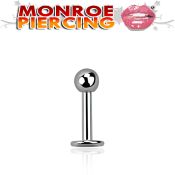 lbmnb labrets lip rings surgical steel 316l labrets chin