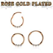 seghr16e anodized surgical steel seamless and segment rings ear lobe ear otherseyebrow helix intim septum piercing