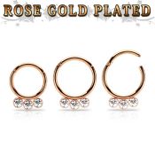 seghr16f anodized surgical steel seamless and segment rings ear othersear lobe ear otherseyebrow helix intim septum piercing