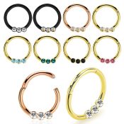 seght16e anodized surgical steel seamless and segment rings ear othersear lobe ear otherseyebrow helix intim septum piercing