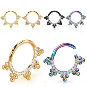 sgtsh17 anodized steel hinged segment hoop bohemian cz
