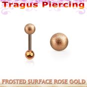 trgtt35 straight barbells anodized surgical steel 316l tragus