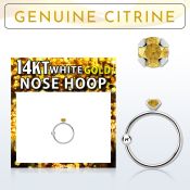 whge6 nose hoop gold ear lobe