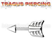 bber33 straight barbells surgical steel 316l tragus