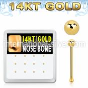 dgnb5 nose bone gold nose