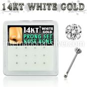 dwnb3 nose bone gold nose