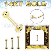 glbb25 14 karat gold labret 16g threadless push in ball
