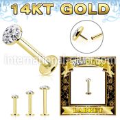 glbfr 14 k gold labret stud threadless push top flat ferido