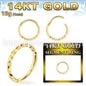 gsghb18 14 karat gold hinged segment hoop 18g twisted wire