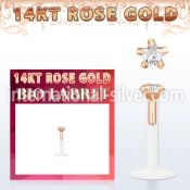 rbizsc nose bone bioflex ptfe labrets chin