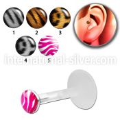 trgl3 labrets lip rings bioflex ptfe tragus