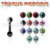 trgt7e straight barbells anodized surgical steel 316l tragus