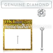 wnpdb1 nose bone gold nose