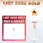 rbist labrets lip rings gold labrets chin