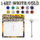wnbzm1 nose bone gold nose