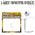 wsrd l shape nose studs gold nose