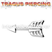 bber33 straight barbells surgical steel 316l tragus