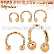 cbttb4 horseshoes anodized surgical steel 316l ear lobe