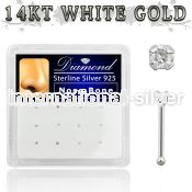 dnbpd nose bone silver 925 nose