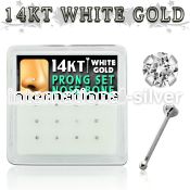 dwnb3 nose bone gold nose