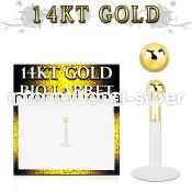 gbib25 labrets lip rings bioflex ptfe labrets chin