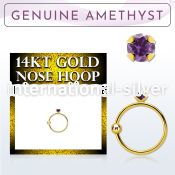 ghge1 nose hoop gold nose