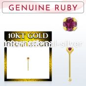 ginbge5 10kt gold nose bone with a 2mm prong set ruby stone