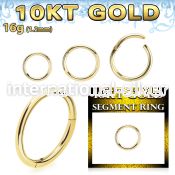 gisegh16 10 karat yellow gold 16g hinged segment hoop