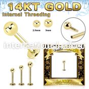glbbi 14 karat yellow gold labret stud 16g ball top internal
