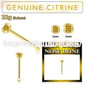 gnbge6 nose bone gold nose
