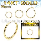 gsegh18 14 karat yellow gold hinged segment hoop 18g