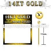 gysb1b 14kt gold nose bend it nose stud, 20g w 1.5mm ball top