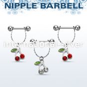 npdl10 straight barbells surgical steel 316l nipple