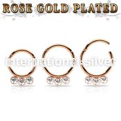 seghr16f anodized surgical steel seamless and segment rings ear othersear lobe ear otherseyebrow helix intim septum piercing