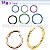 seght16 seamless segment rings anodized surgical steel 316l ear lobe