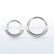 sepn seamless segment rings surgical steel 316l ear lobe