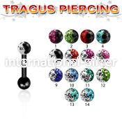 trgt7e straight barbells anodized surgical steel 316l tragus