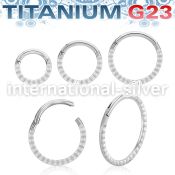 usgsh41 titanium hinged segment hoop 16g pyramids side