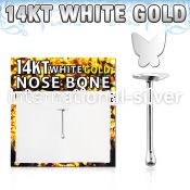 wbbt2 nose bone gold nose