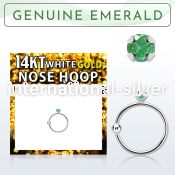 whge10 nose hoop gold ear lobe