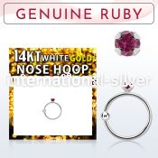 whge5 nose hoop gold ear lobe