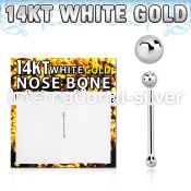 wnbb1 nose bone gold nose