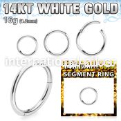 wsegh16 14 karat white gold hinged segment hoop 16g