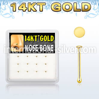 DGNB24