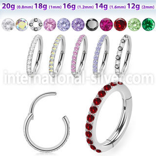 sgsh10 surgical steel segment ring cz stones