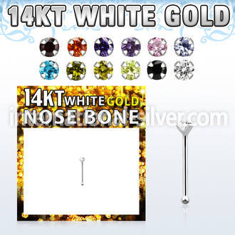 wbzsm1 nose bone gold 