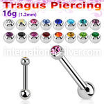 bber57 straight barbells surgical steel 316l ear lobe