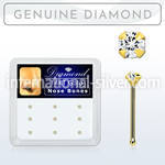 dgnb15 nose bone gold nose