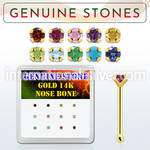 dgnb8 nose bone gold nose